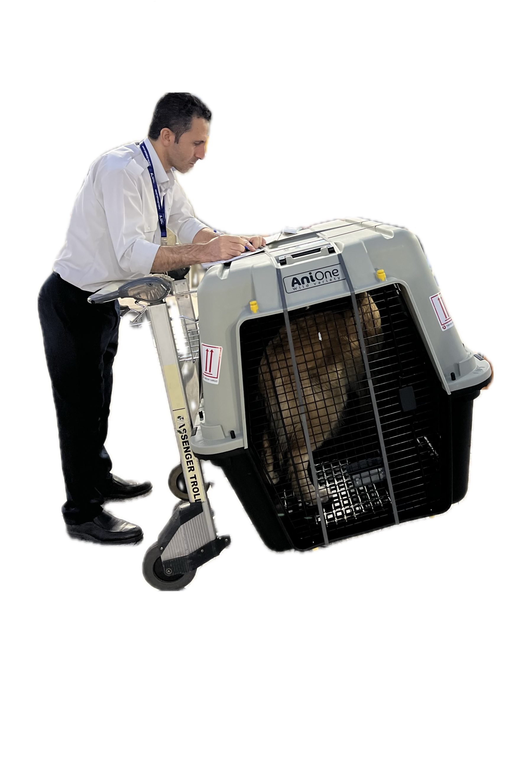 باکس 8 آنیوان anione